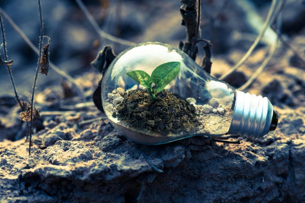 A small plant growing inside a light bulb placed on soil, symbolizing sustainable energy and growth.